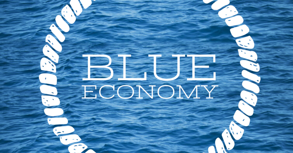 0.1blueconomy