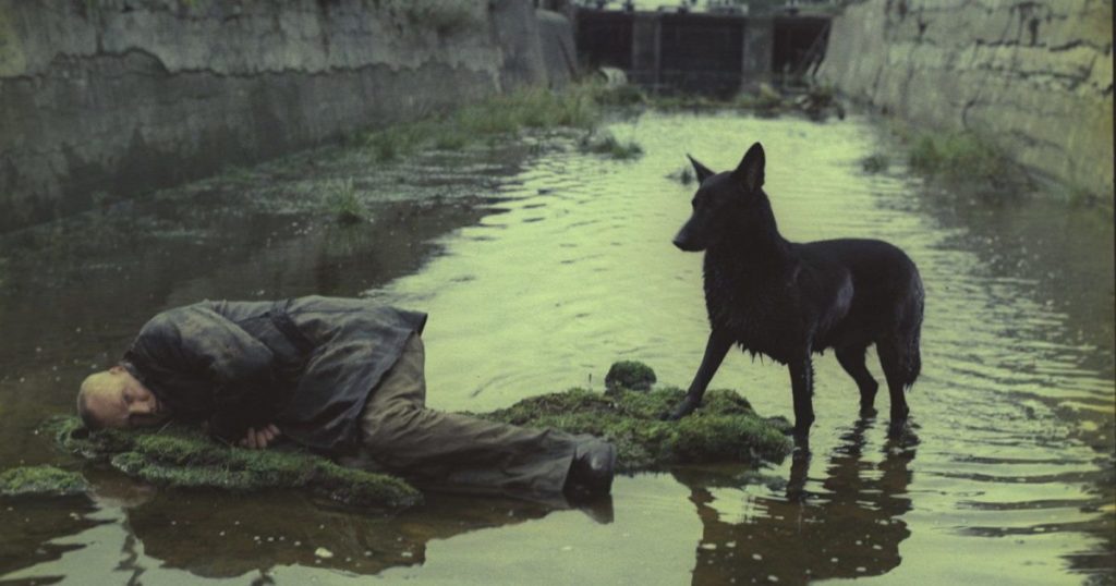 stalker 1200x630 1