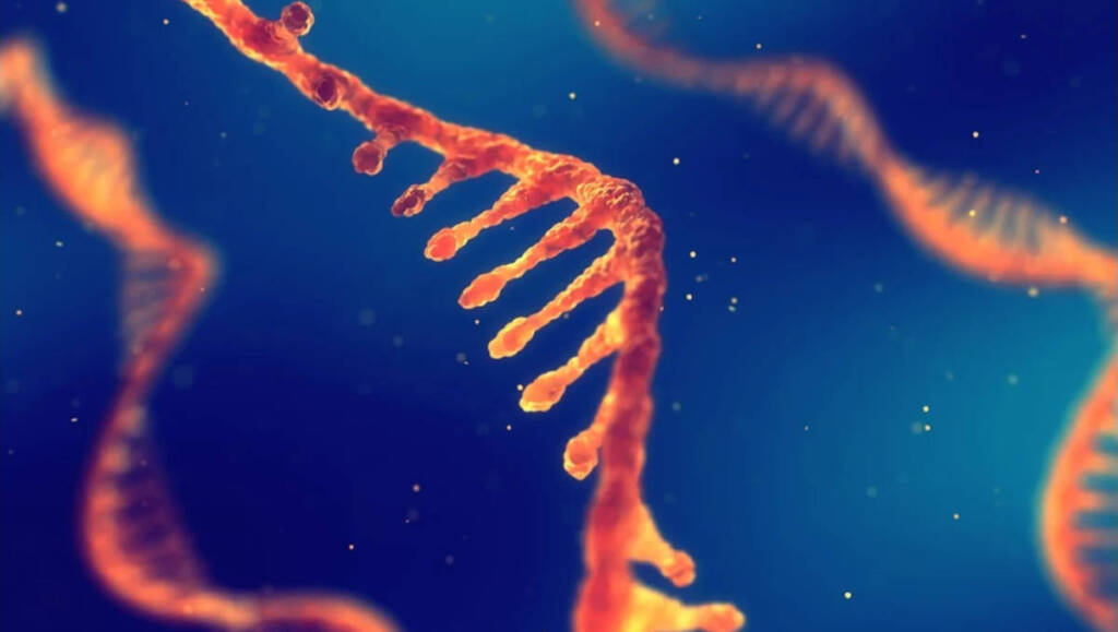 rna