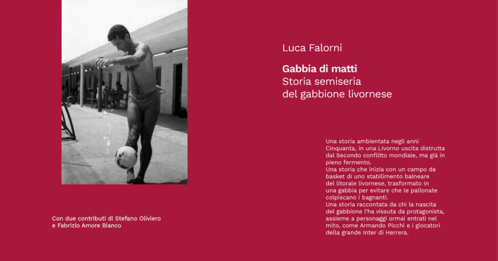 Copertina del libro Gabbia di matti