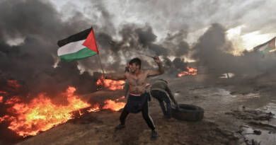 Lettera aperta della relatrice ONU per i diritti umani nei territori palestinesi occupati da Israele, Francesca Albanese 2