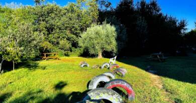 Orti urbani: Lettera della LIPU al Comune di Livorno e alla ditta Frangerini